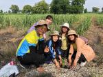 โครงการชุมชนสวยด้วยมือเรา ปี 2562 (ปลูกต้นไม้)